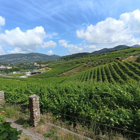 Al Vigneto Διαμέρισμα Σέστρι Λεβάντε Εξωτερικό φωτογραφία
