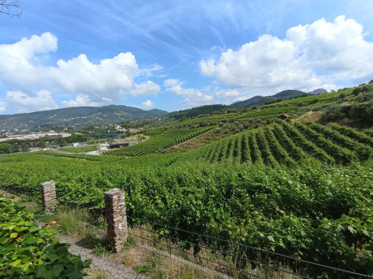 Al Vigneto Διαμέρισμα Σέστρι Λεβάντε Εξωτερικό φωτογραφία