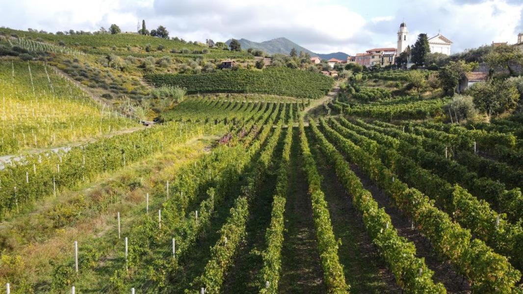 Al Vigneto Διαμέρισμα Σέστρι Λεβάντε Εξωτερικό φωτογραφία