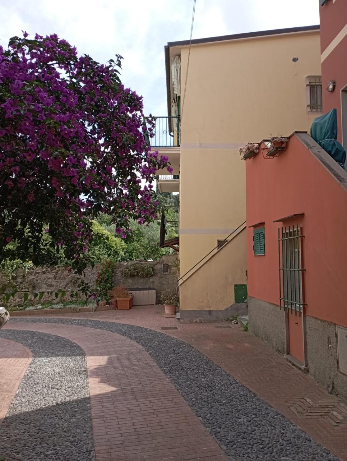 Al Vigneto Διαμέρισμα Σέστρι Λεβάντε Εξωτερικό φωτογραφία